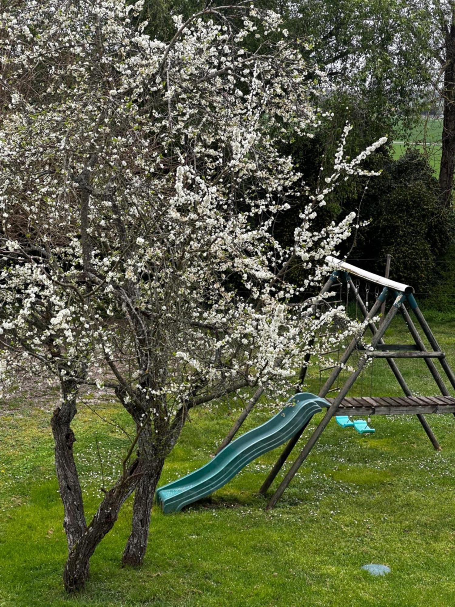 L'Ileau Villa La Taillee Eksteriør billede